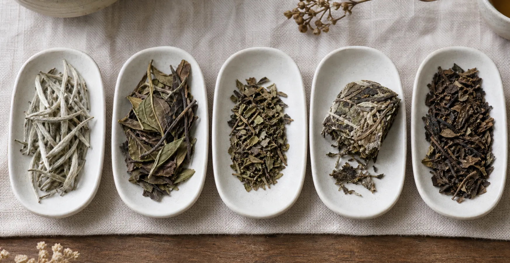 Different white tea forms arranged for comparison, including fluffy buds, leafier material, broken pieces, compressed tea, and darker aged-looking leaves.