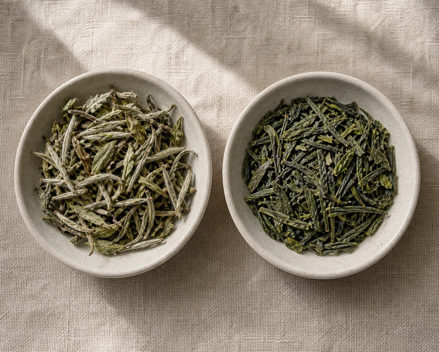 White tea buds and loose mixed leaves placed beside more shaped green tea leaves for visual comparison